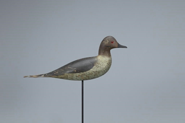 Chauncey Wheeler – Exceedingly Rare Dove – 2019