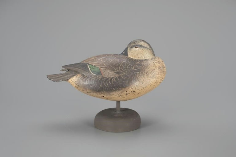 Bob White – Exemplary Standing Green-Winged Teal Hen – 2024