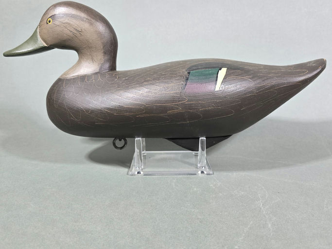R. Madison Mitchell – Black duck – 2026