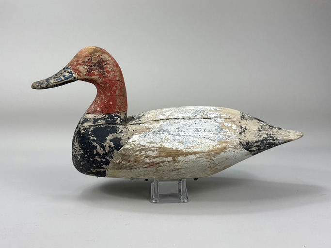Doug Jester – Redhead – 2026