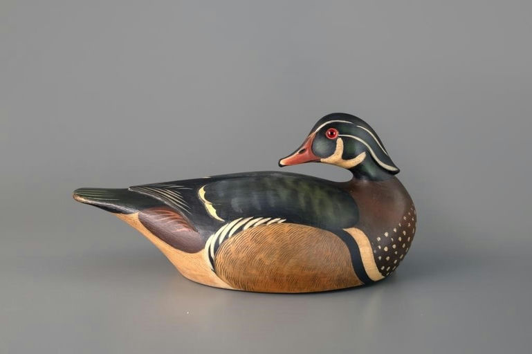 Josh Brewer – Preening Wood Duck – 2025