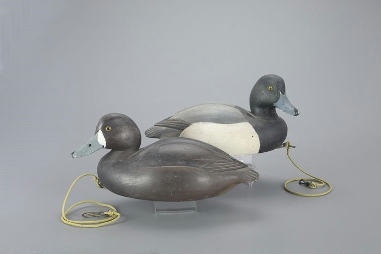 Donal C. O'Brien, Jr. – Bluebill Pair – 2023