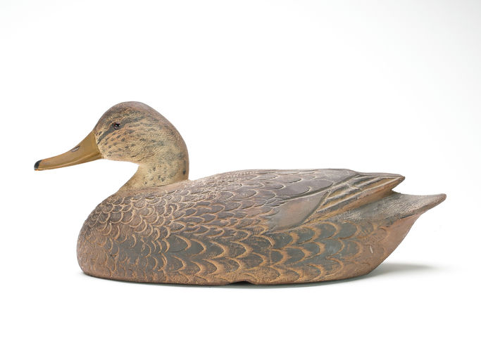 Ben Schmidt – Black Duck – 2025