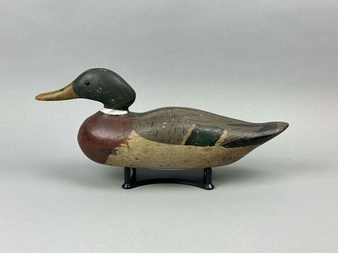 Dodge Factory – Mallard Drake – 2026