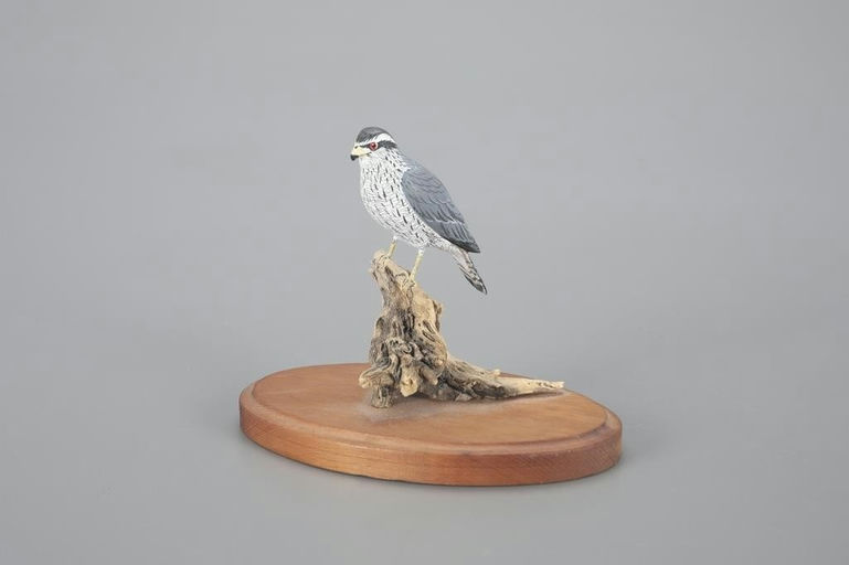 Anthony Hillman – Miniature Falcon – 2023