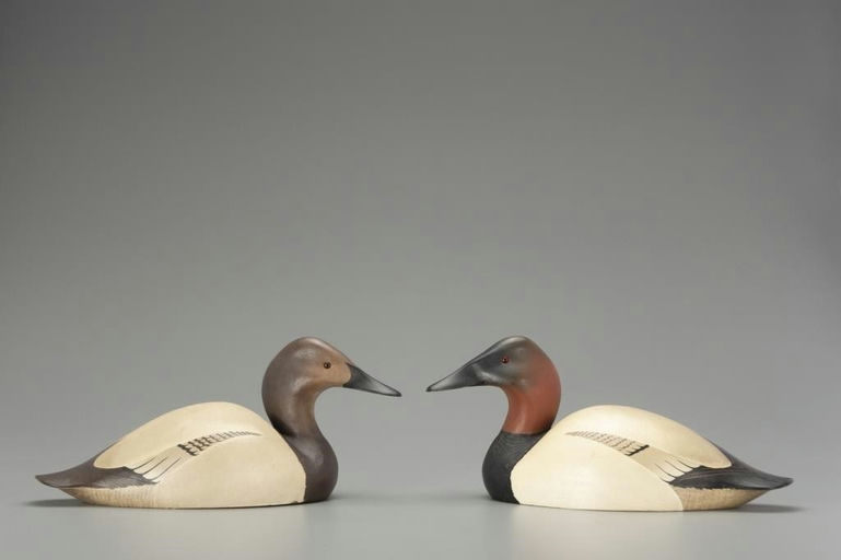Bill Cranmer – Canvasback Pair – 2018