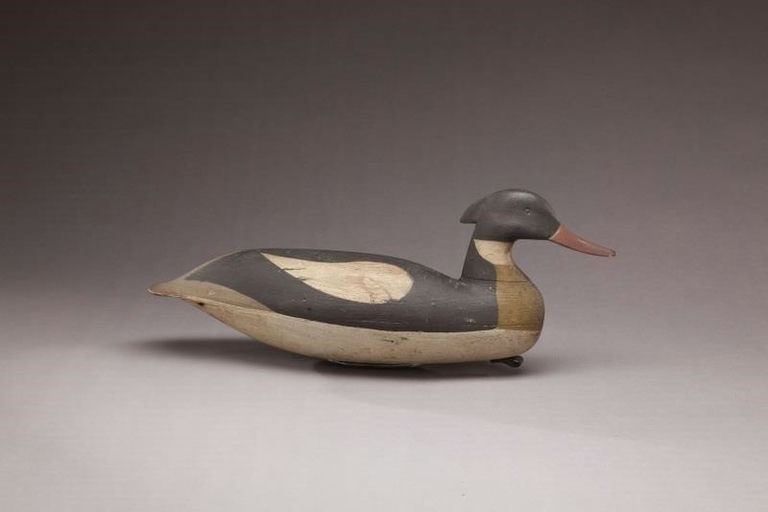 Levi Rhodes Truex – Outstanding Red-breasted Merganser – 2011