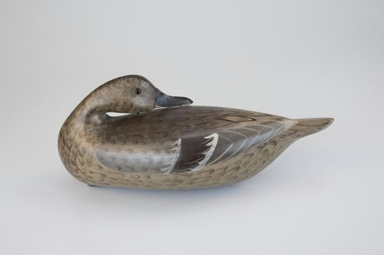 Charles Perdew – The Masterworks Preening Pintail Hen – 2026