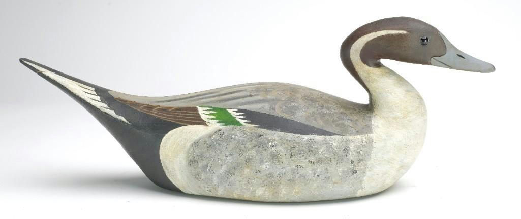 Reggie Birch – Pintail – 2023