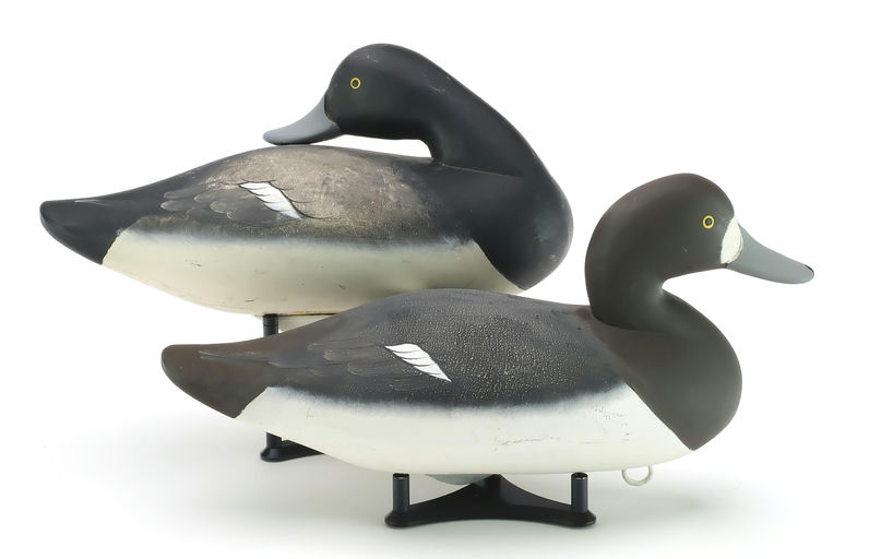 Charlie Joiner – Pair of Bluebills – 2024
