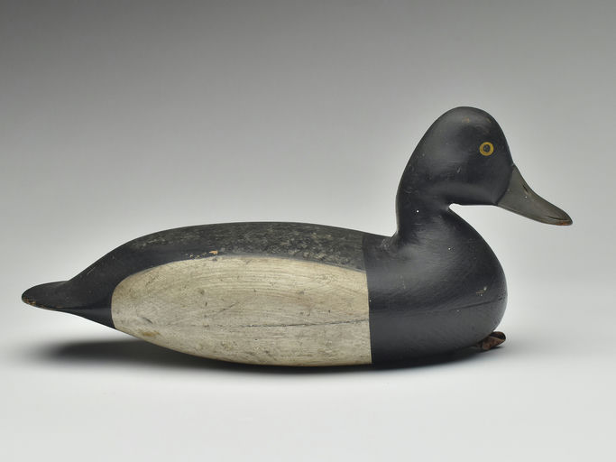 Harry V. Shourds – Scaup – 2023