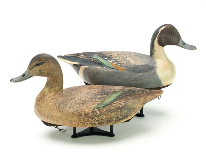 Ben Schmidt – Pair of Pintail – 2025