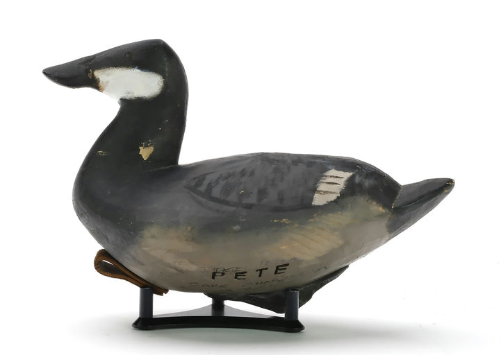 Pete Peterson – Ruddy Duck – 2024