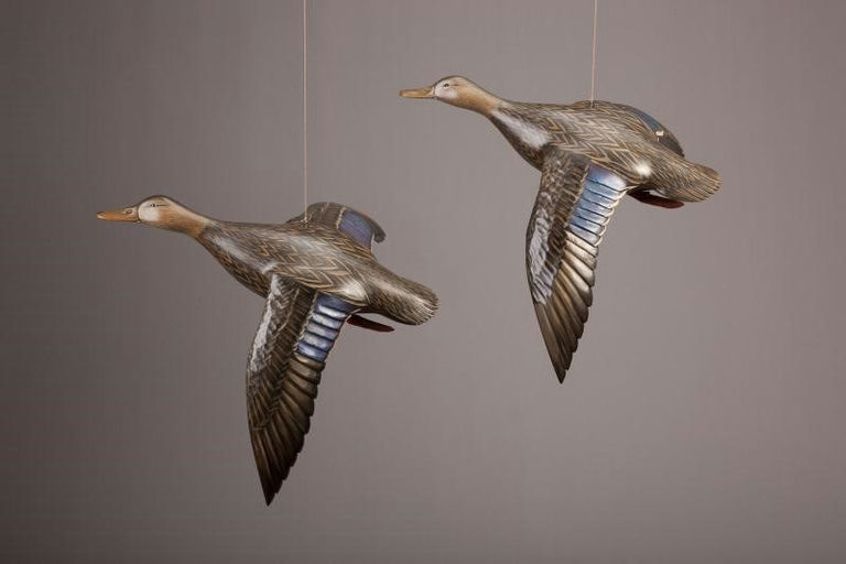 Mike Borrett – Flying Black Ducks – 2012