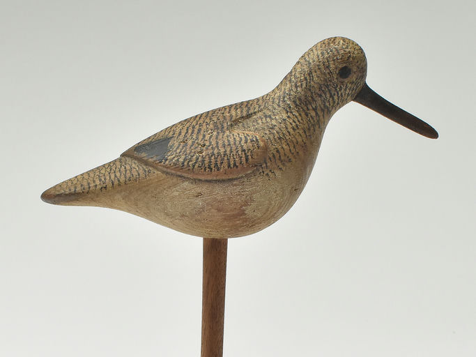 Mark McNair – Sanderling – 2023
