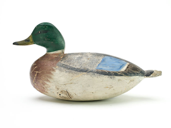 Ira Hudson – Mallard – 2025