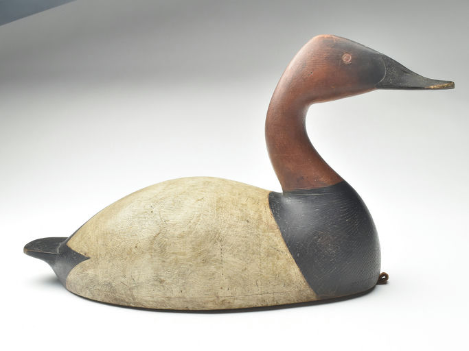 Cameron McIntyre – Canvasback – 2023
