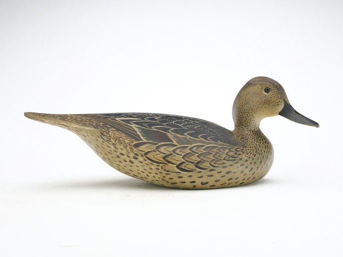 Ward Brothers – Pintail – 2024