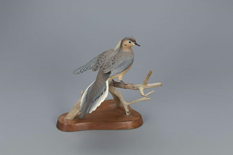 Oliver Lawson – Mourning Dove – 2019
