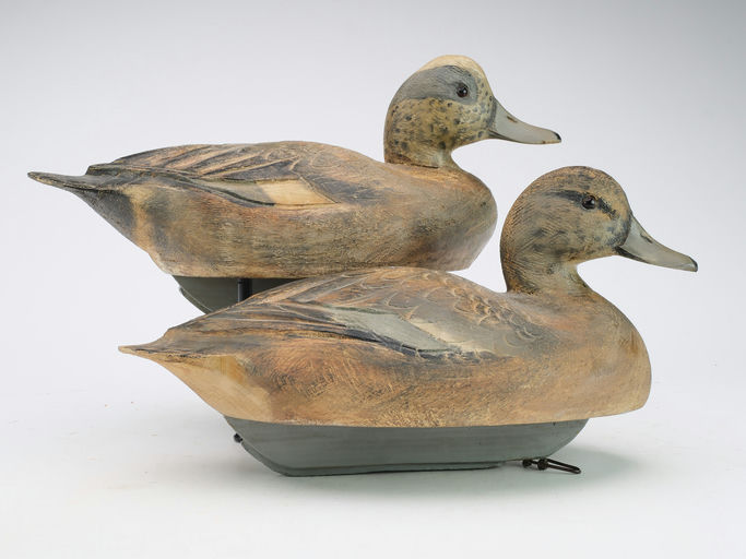 Ben Schmidt – Pair of Widgeon – 2024