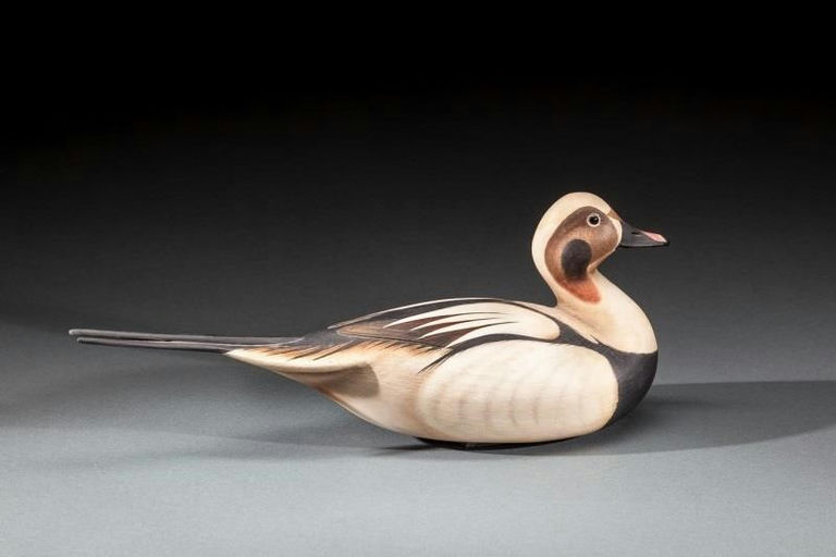 Bill Gibian – Long-Tailed Duck – 2016
