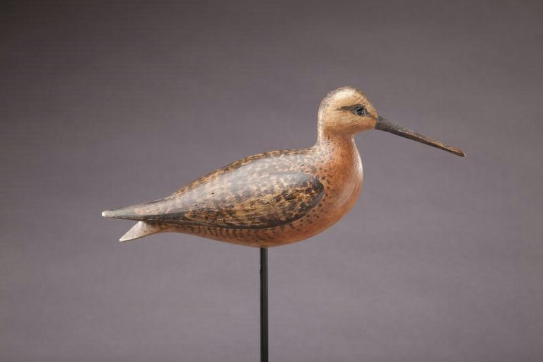 Cameron McIntyre – Dowitcher – 2012