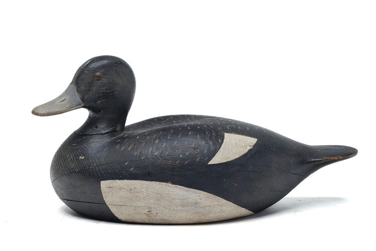 Joseph Lincoln – Scaup – 2026