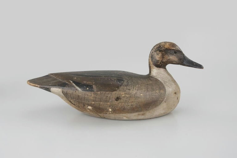 Dave "Umbrella" Watson – Pintail Drake – 2026