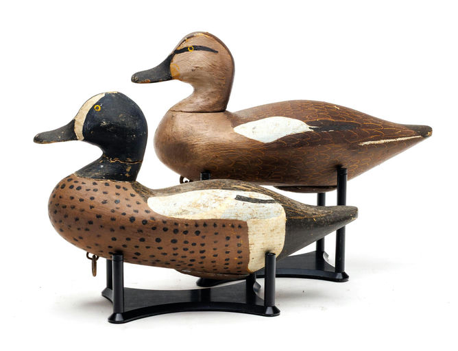 Horace Graham – Blue-winged teal – 2026