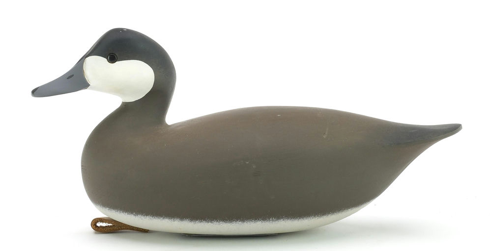 Jamie Hand – Ruddy Duck – 2024
