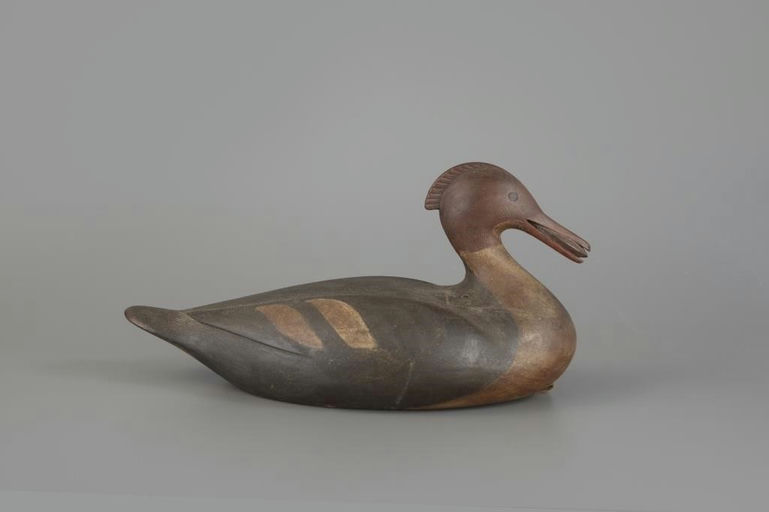 Mark McNair – Merganser Hen with Mussel – 2025