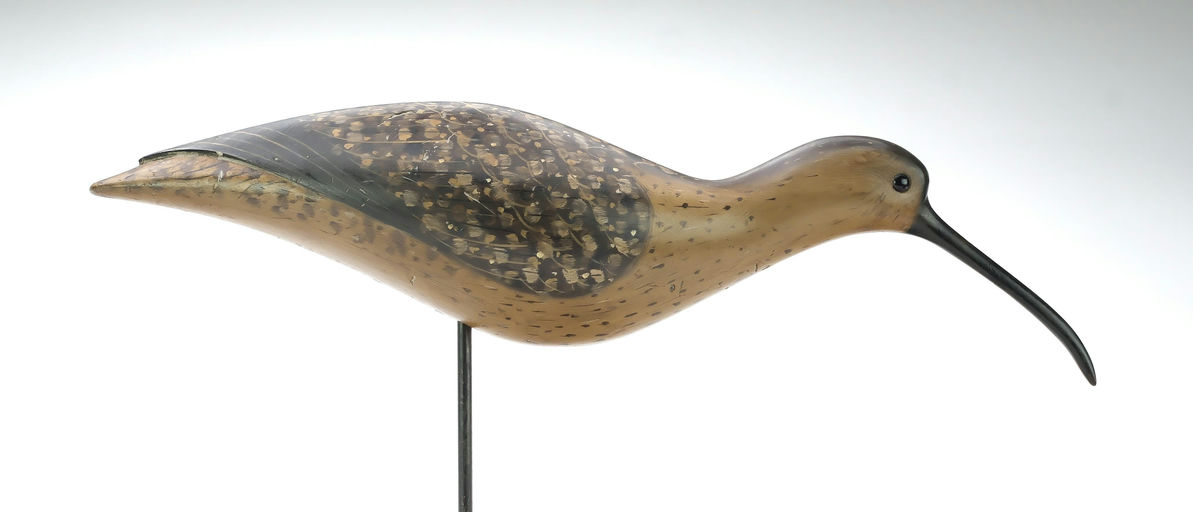 Pete Peterson – Curlew – 2025