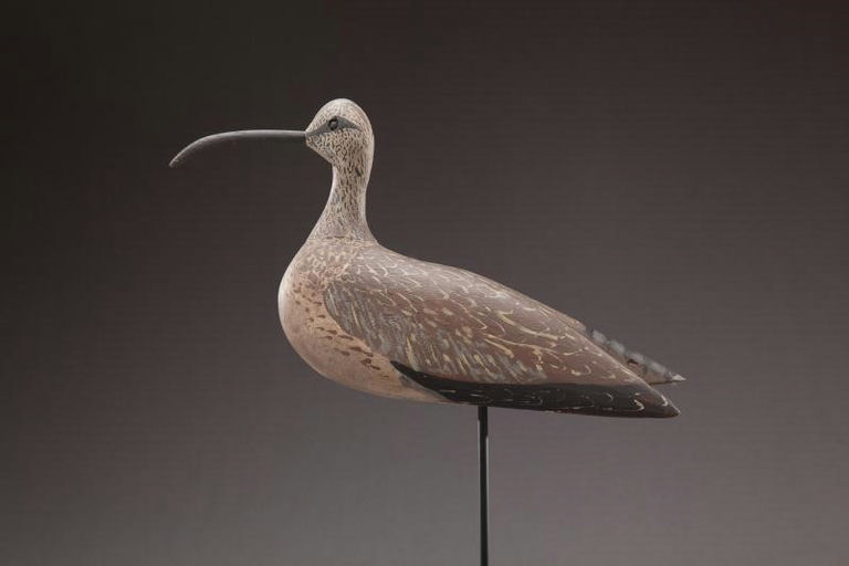 Eugene Chief Cuffee – Curlew – 2012