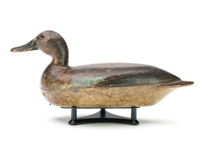 Robert Elliston – Blue-winged Teal Hen – 2025