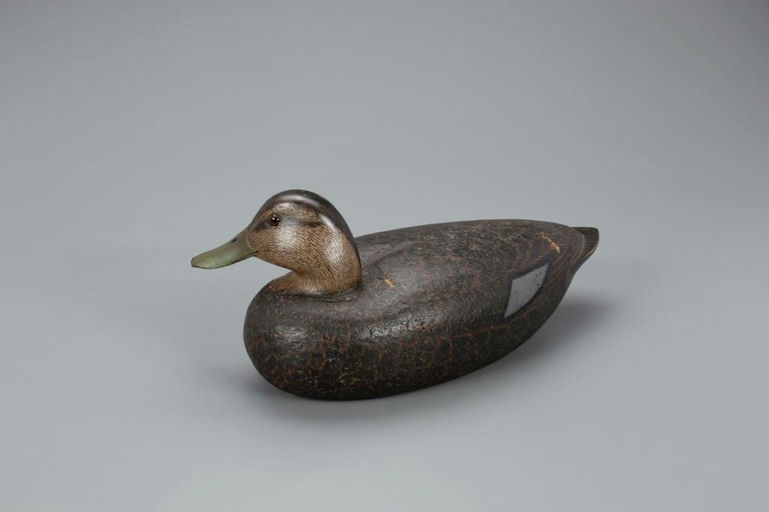 Louis Rathmell – Turned-Head Black Duck – 2021