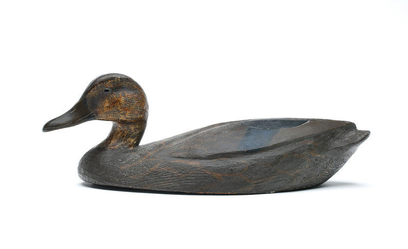 Ken Anger – Black Duck – 2025