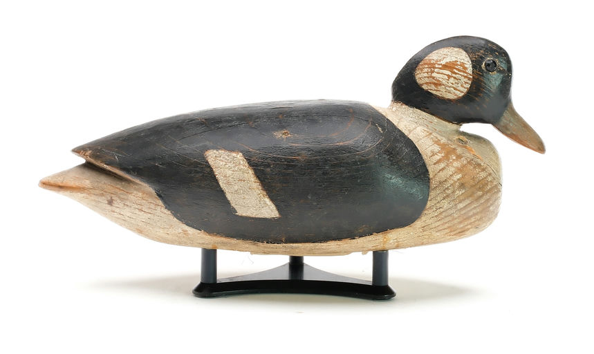 Nathan Cobb, Jr. — Bufflehead