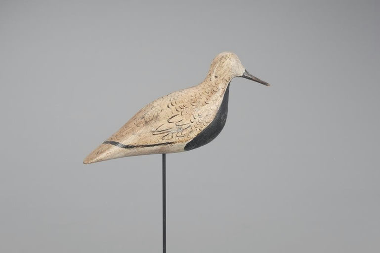 Charles W. Turner – Black-Bellied Plover – 2022
