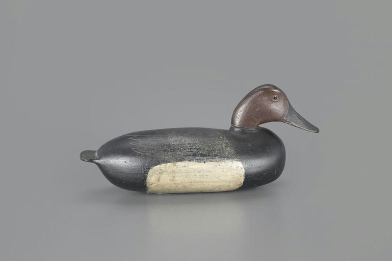 John English – Canvasback Drake – 2024