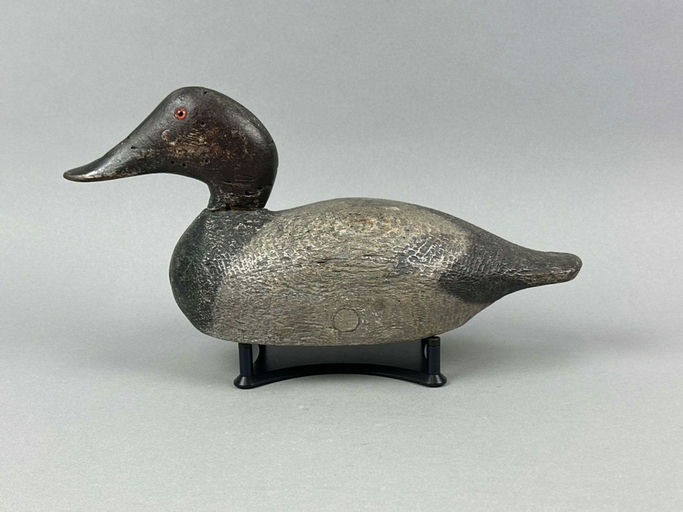 Evans Decoy Company – Canvasback Drake – 2026