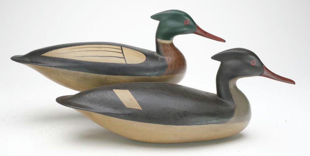 Rick Brown – Pair of Merganser – 2023