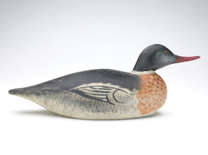 Elmer Crowell – Red Breasted Merganser – 2024