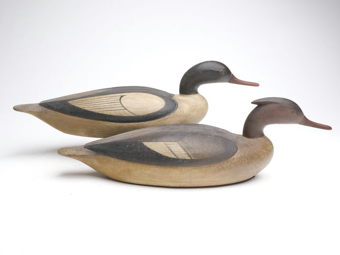 Mark McNair – Pair of American merganser – 2023