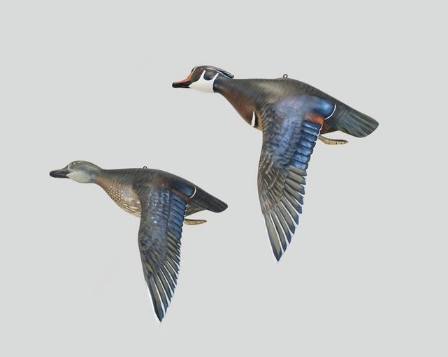 Mike Borrett – Flying Wood Duck Pair – 2026
