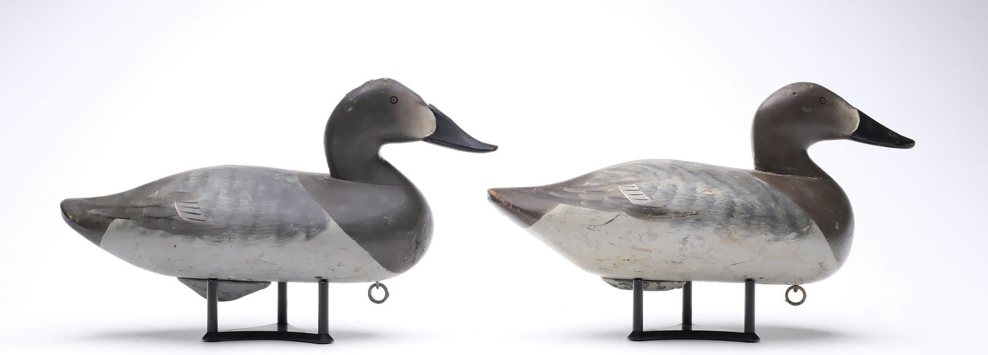 R. Madison Mitchell – Canvasback – 2026
