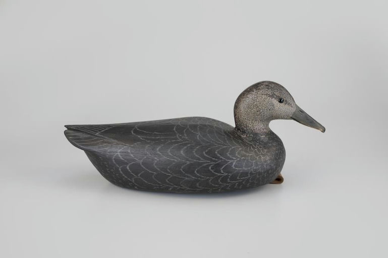 Grayson Chesser – Black Duck – 2026