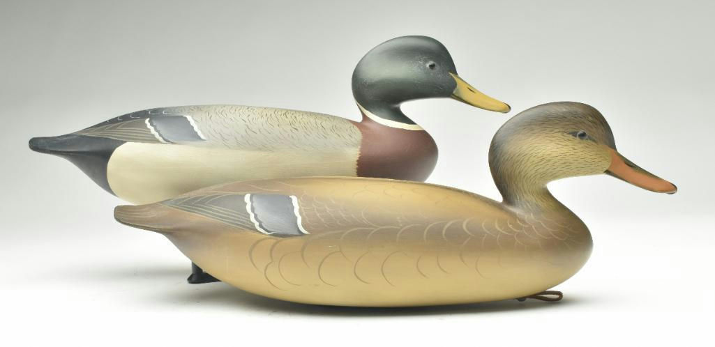 George Strunk – Pair of Mallard – 2023