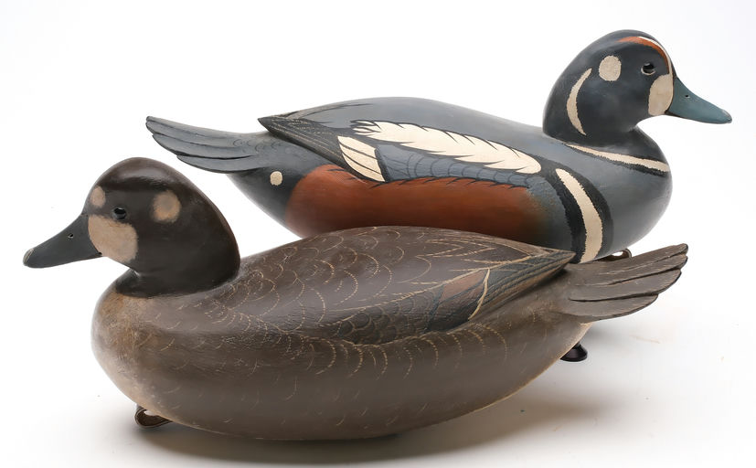 Bob White – Pair of Harlequin Duck – 2026