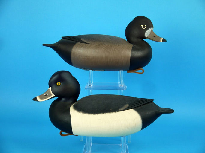 Rick Brown – Ring-Necked Pair, – 2026