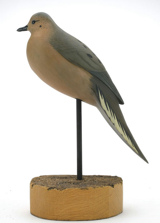 Bob White – Dove – 2024